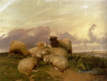  was Kunst - Schaf In Canterbury Wasser Wiesen Bauernhof Tiere Thomas Sidney Cooper